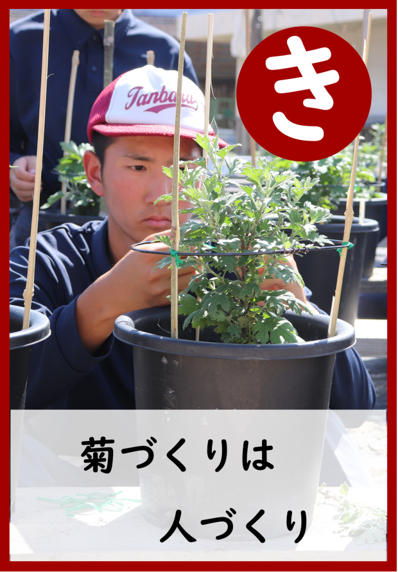 07 き(裏)
