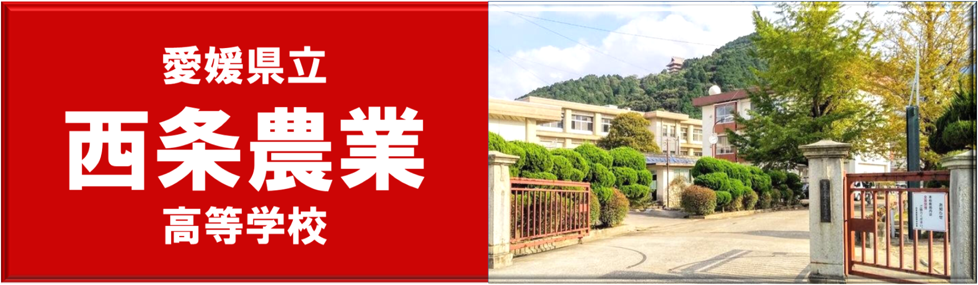 banner saijonogyo2