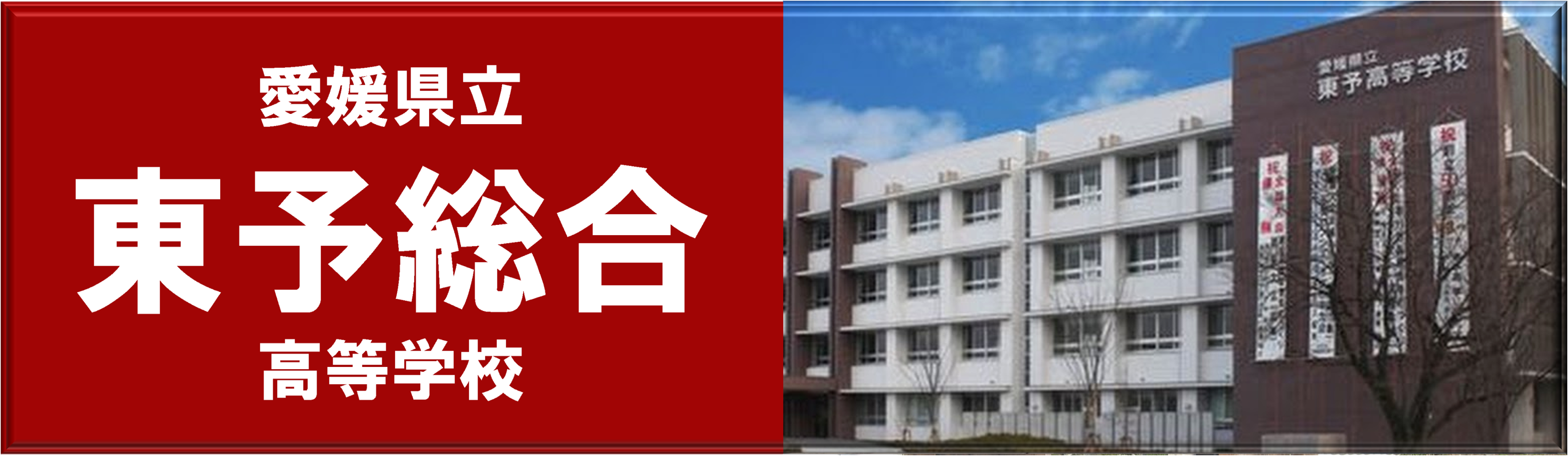banner toyosogo
