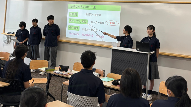 画像6